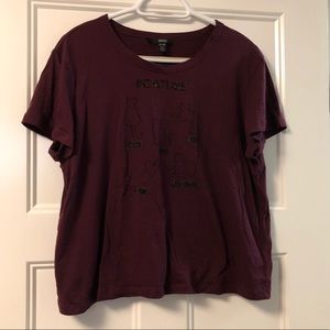 3 for $15 Cat Crop T-Shirt